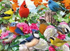 Garden Birds (500 pc) - Boardlandia