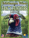 Fancy Feathers - Boardlandia