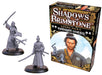 Shadows of Brimstone - Hero Pack Wandering Samurai - Boardlandia