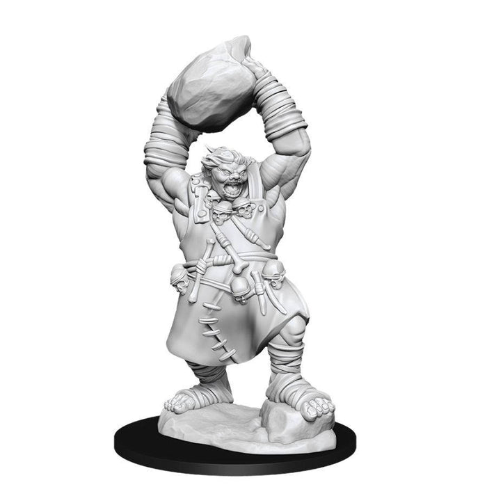 Pathfinder Deep Cuts Unpainted Miniatures - W11 - Ogre