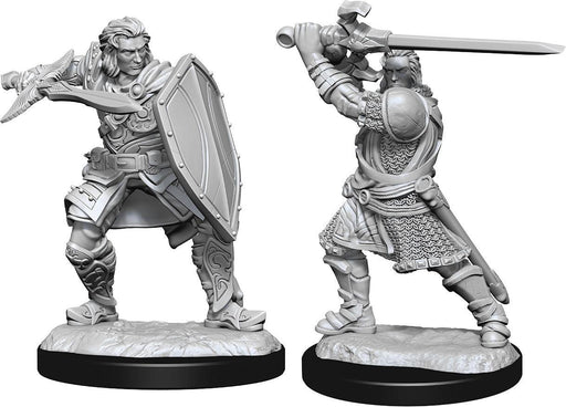 Dungeons and Dragons: Nolzur's Marvelous Unpainted Miniatures - W14 Human Paladin Male - Boardlandia
