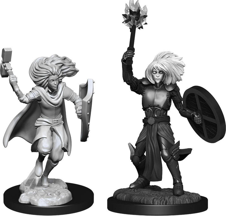 Dungeons and Dragons: Nolzur's Marvelous Unpainted Miniatures - W14 Changeling Cleric Male - Boardlandia