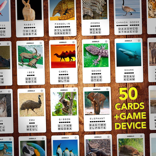 100 PICS Animals - Boardlandia