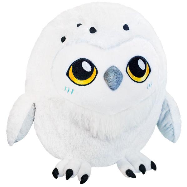 Snowy Owl - Boardlandia