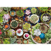 1000 Piece Succulents Puzzle - Boardlandia