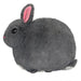 Mini Netherland Dwarf Bunny (7") - Boardlandia