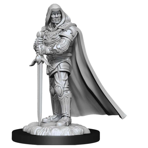DUNGEONS AND DRAGONS NOLZUR'S MARVELOUS MINIATURES: W13 MALE HUMAN PALADIN - Boardlandia