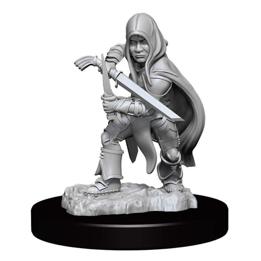 DUNGEONS AND DRAGONS NOLZUR'S MARVELOUS MINIATURES: W13 MALE HALFLING ROGUE - Boardlandia