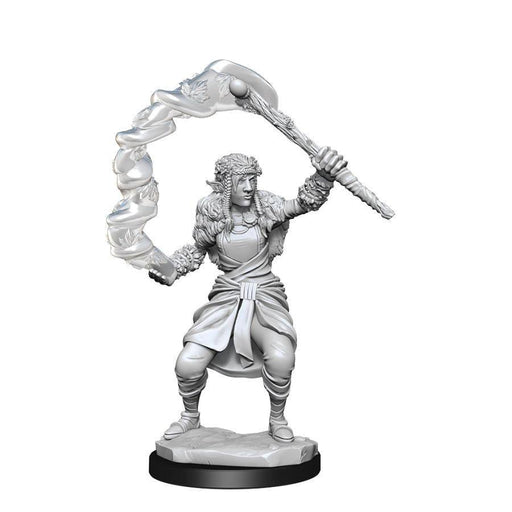 DUNGEONS AND DRAGONS NOLZUR'S MARVELOUS MINIATURES: W13 FEMALE FIRBOLG DRUID - Boardlandia