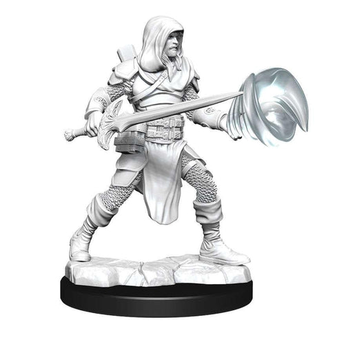 DUNGEONS AND DRAGONS NOLZUR'S MARVELOUS MINIATURES: W13 MALE MULTICLASS FIGHTER-WIZARD - Boardlandia