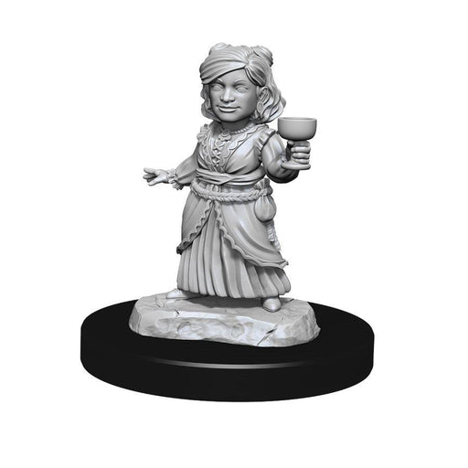 DUNGEONS AND DRAGONS NOLZUR'S MARVELOUS MINIATURES: W13 SILVER DRAGON WYRMLING AND FEMALE HALFLING - Boardlandia
