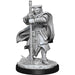 DUNGEONS AND DRAGONS NOLZUR'S MARVELOUS MINIATURES: W13 HOBGOBLIN DEVASTATOR AND HOBGOBLIN IRON SHADOW - Boardlandia