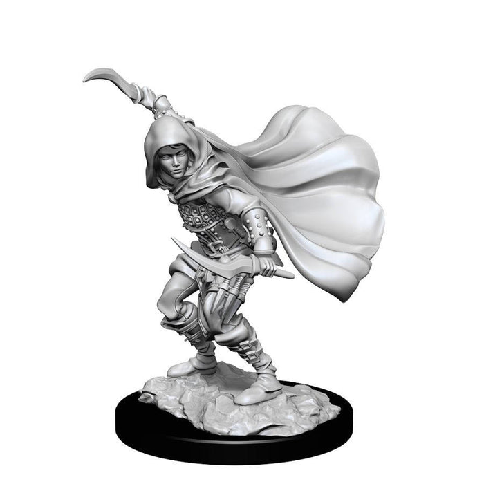 Pathfinder: Deepcuts Unpainted Miniatures: W14 Female Human Rogue